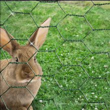 мелкоячеистая сетка кролик забор зеленый пальто PVC стального плетения сада